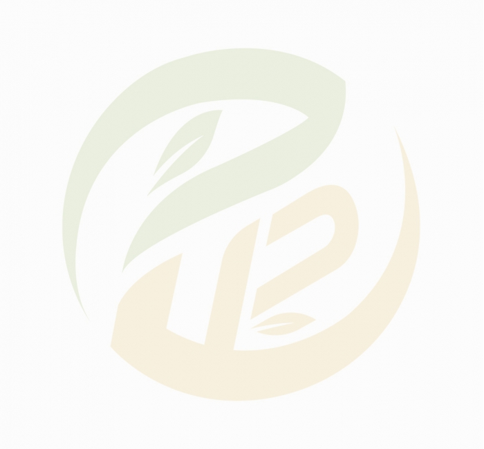 敬请期待（dài）